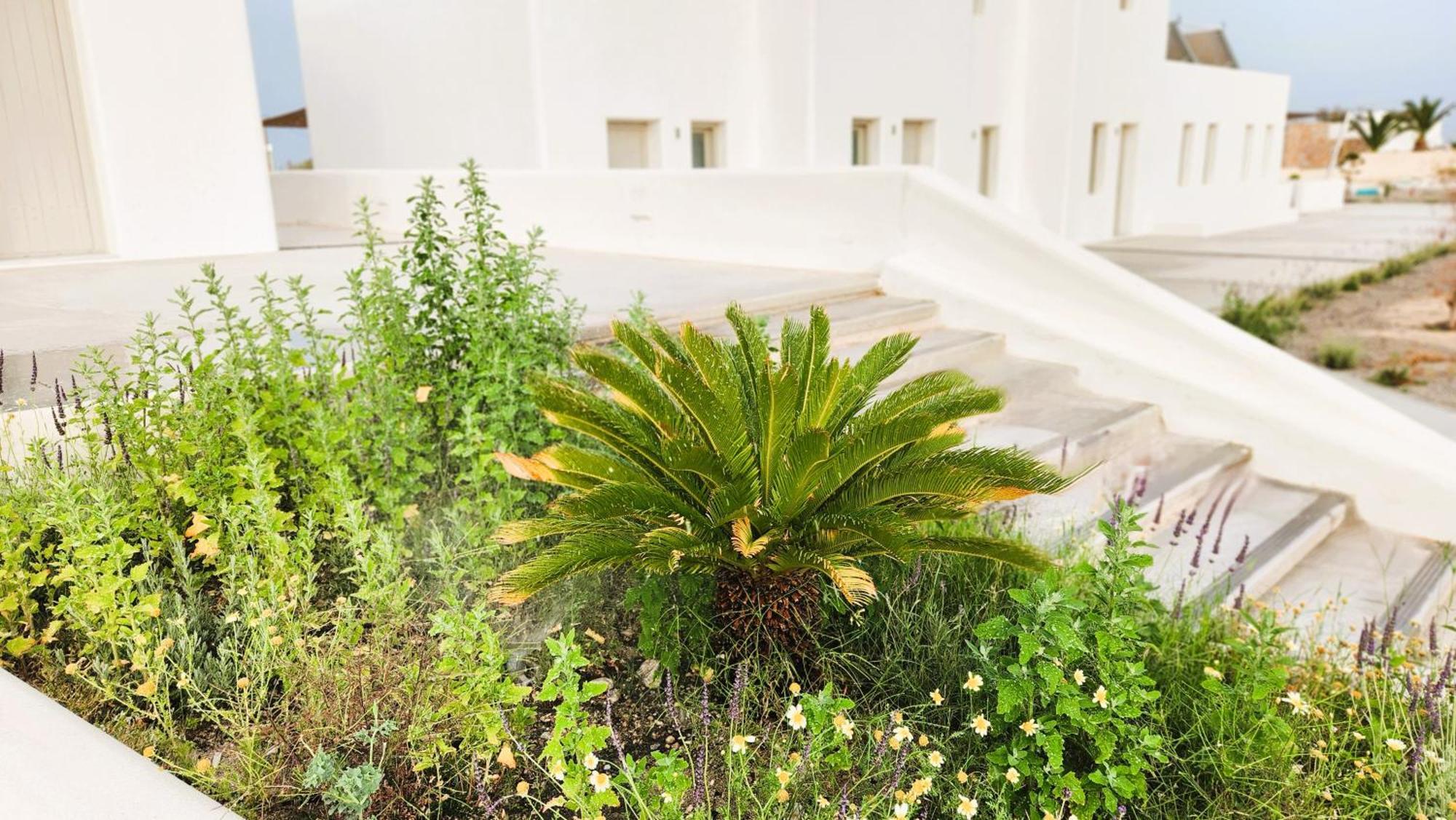 Hayal Suites Santorini Emporio  ภายนอก รูปภาพ